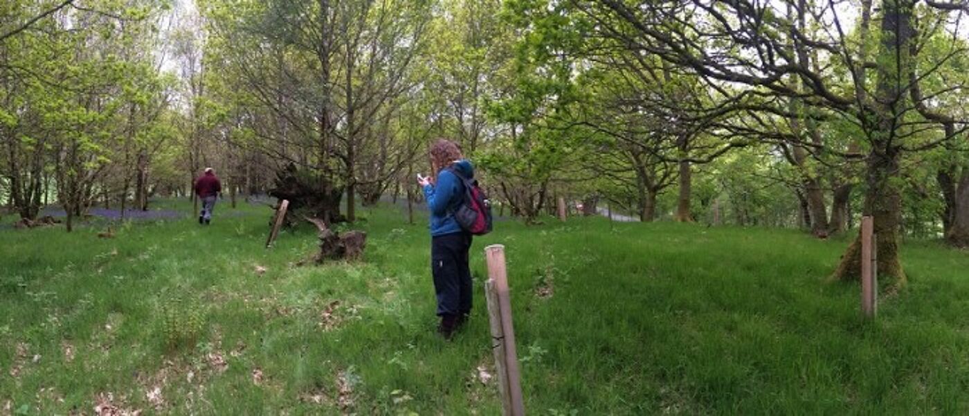 Person standing in woodland area
