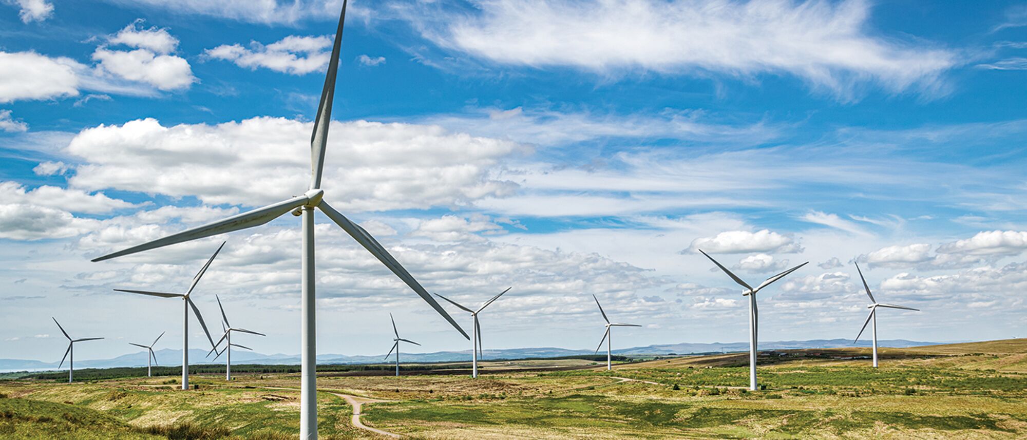 A wind farm in a rural landscape