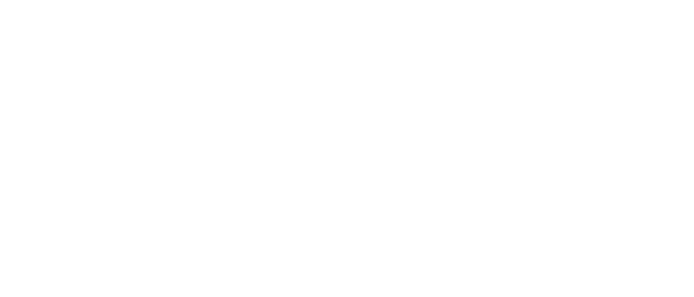 Connectivity icon