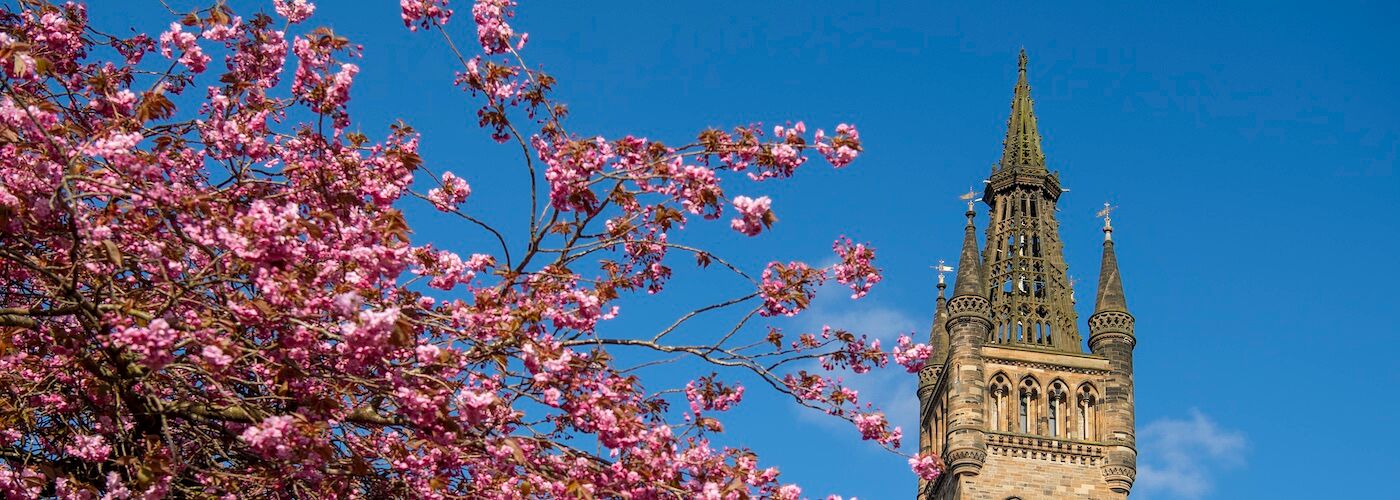 University tower with pink blossoms