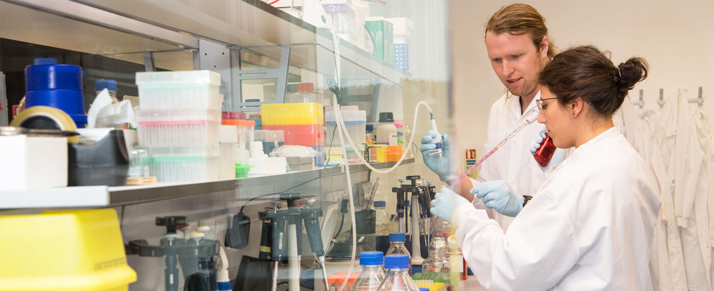 Students in lab