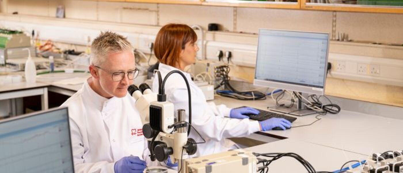 Two researchers working with computers and microscopes in the British Heart Foundation lab