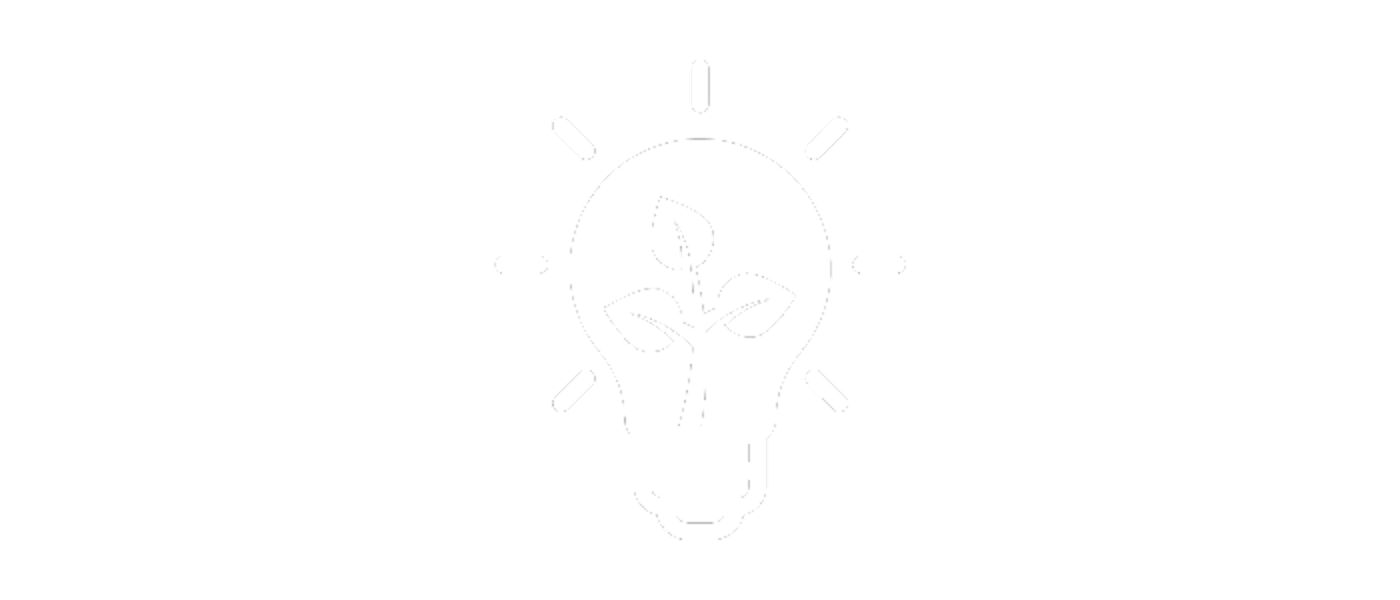 Sustainable ideas icon