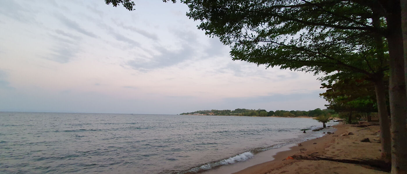 A picture of a treed peninsula jutting into a lake, viewed from a sandy beach with trees in the right foreground