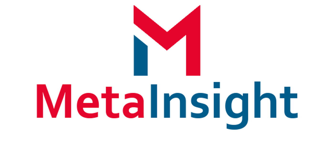 MetaInsight Logo