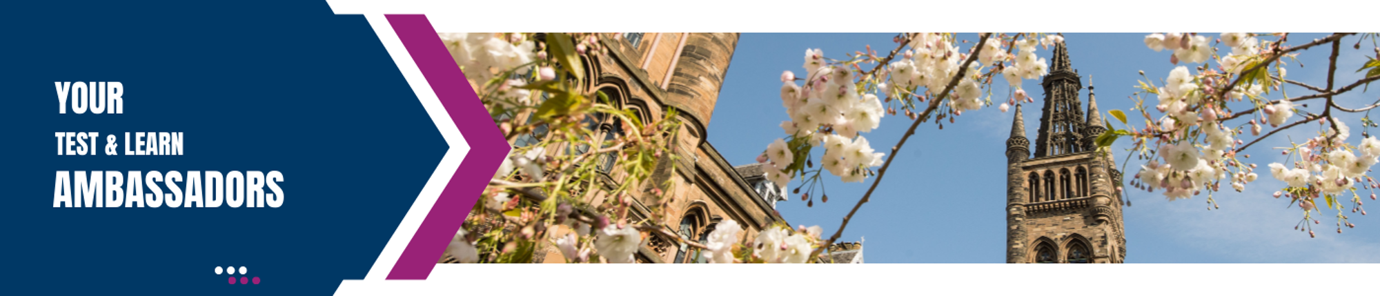 Test & Learn Ambassador Banner with apple blossoms and university tower