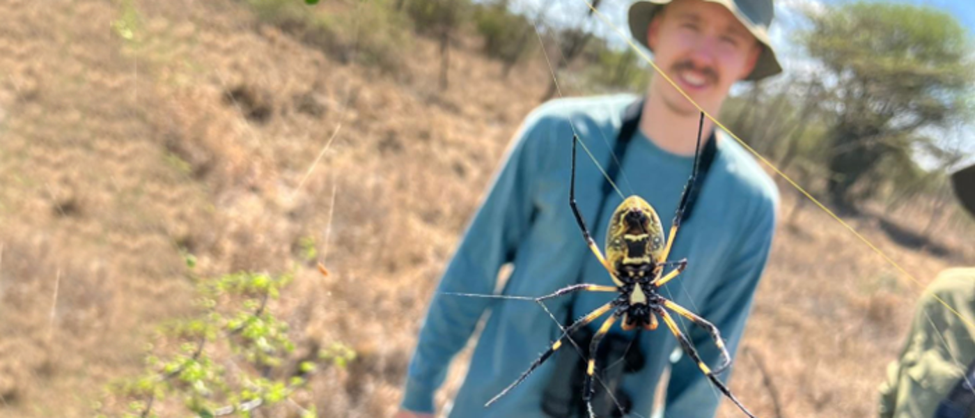 An out-of-focus student on a field trip in the background of a tropical spider with yellow and black colourings in its web