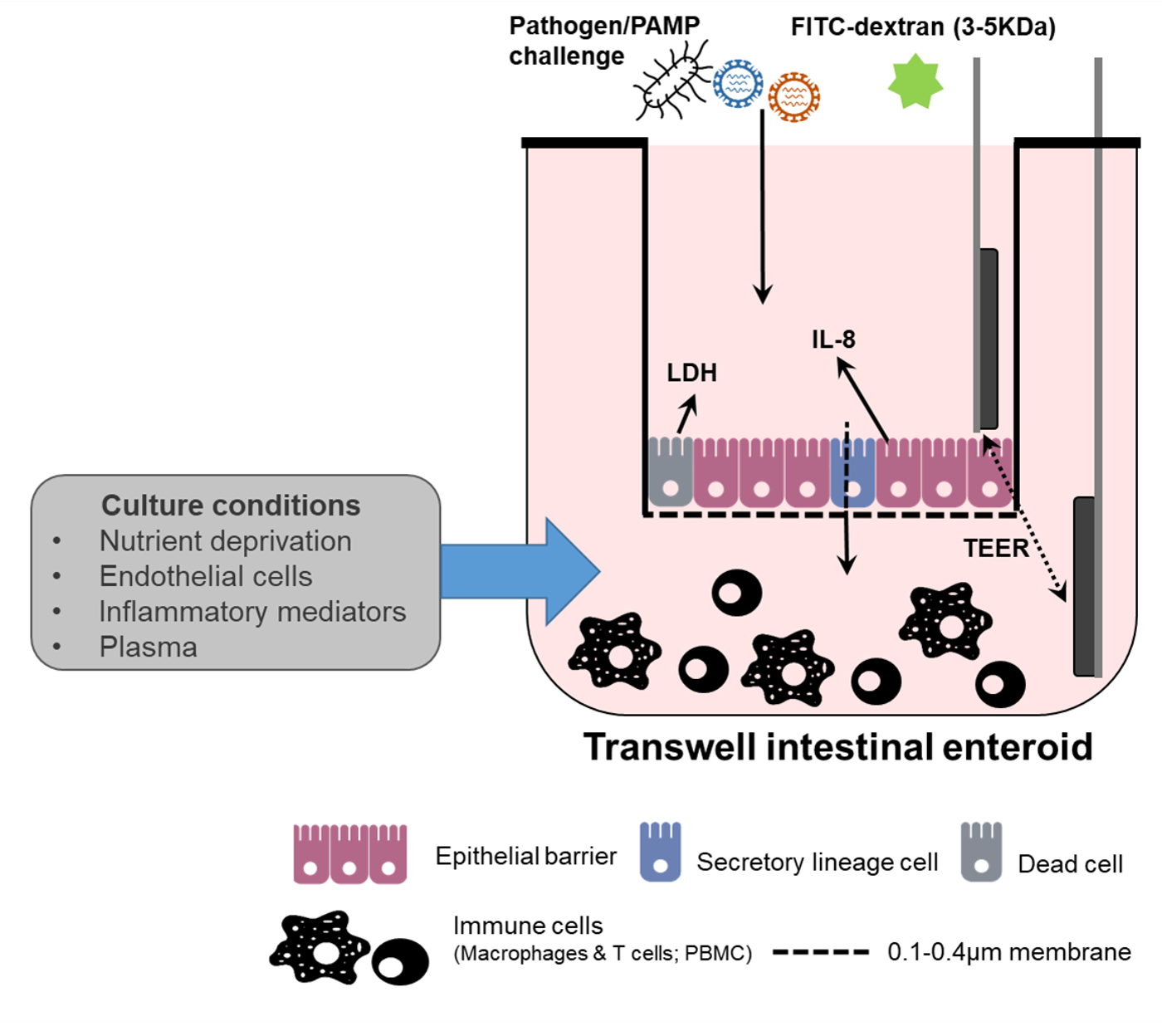 Graph illustrating Claire Bourke project