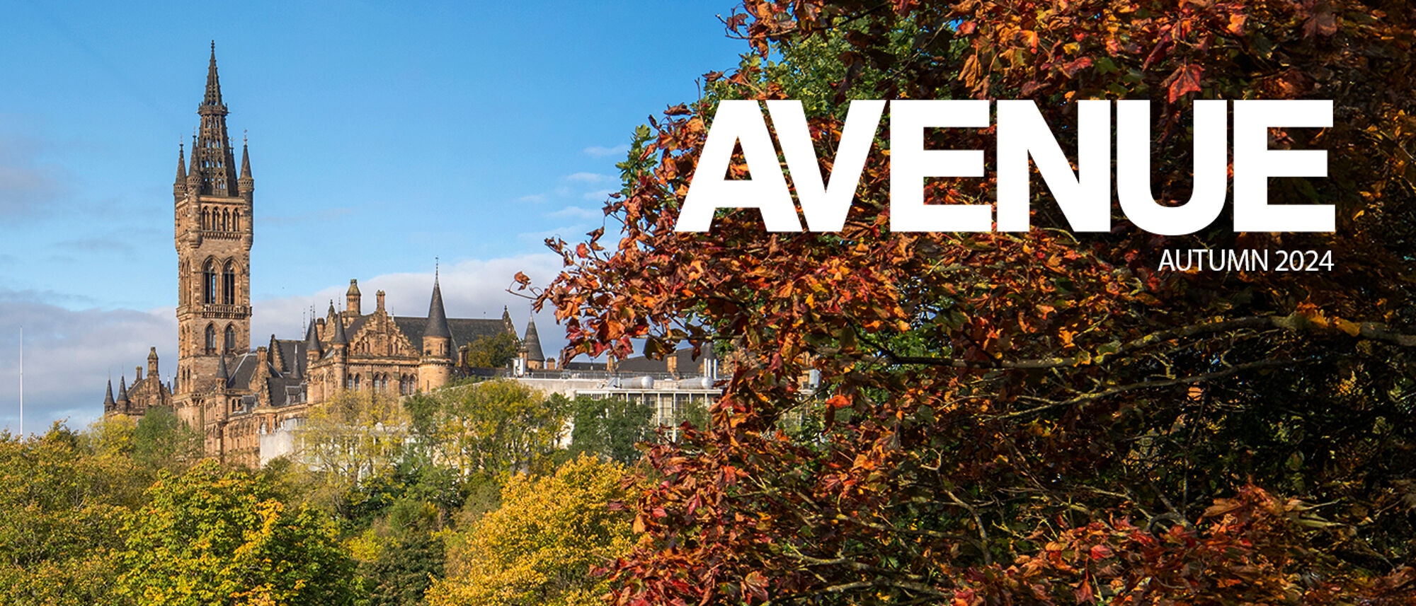 Avenue autumn masthead