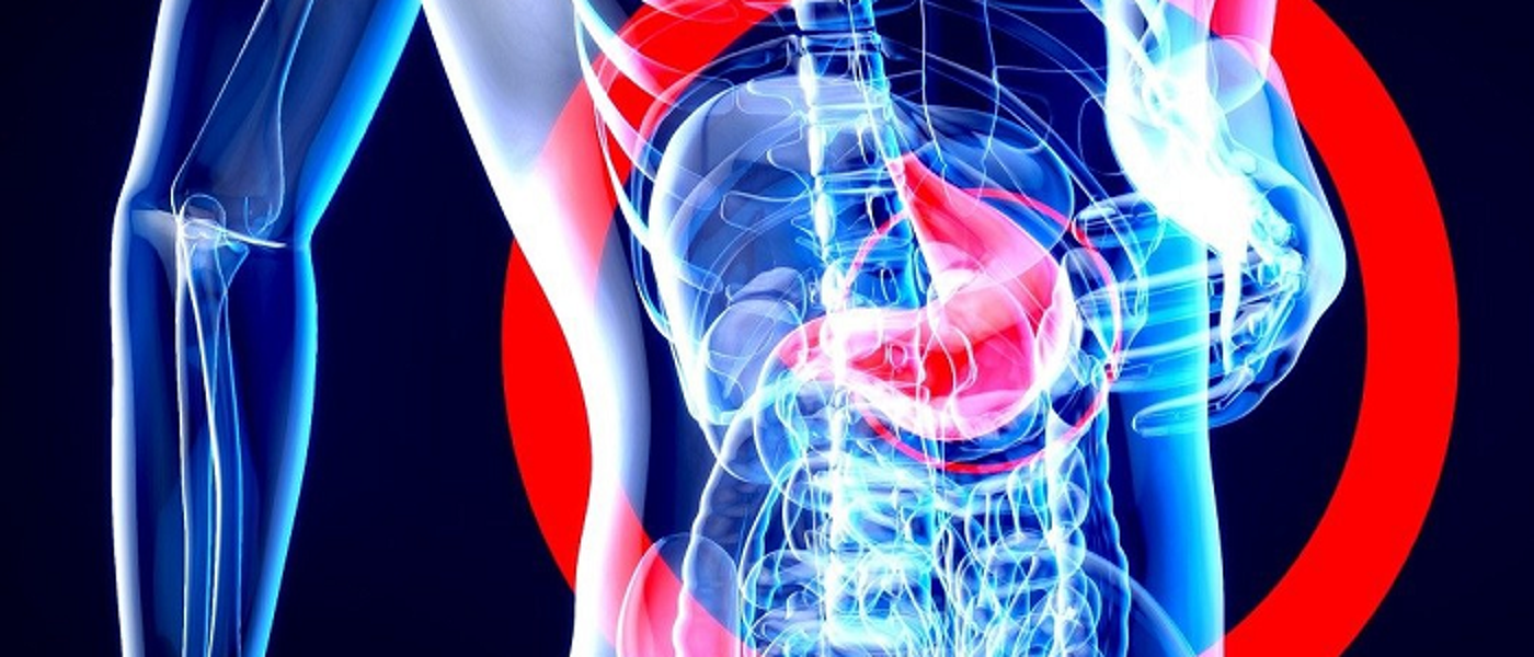 Graphic showing human skeleton and organs