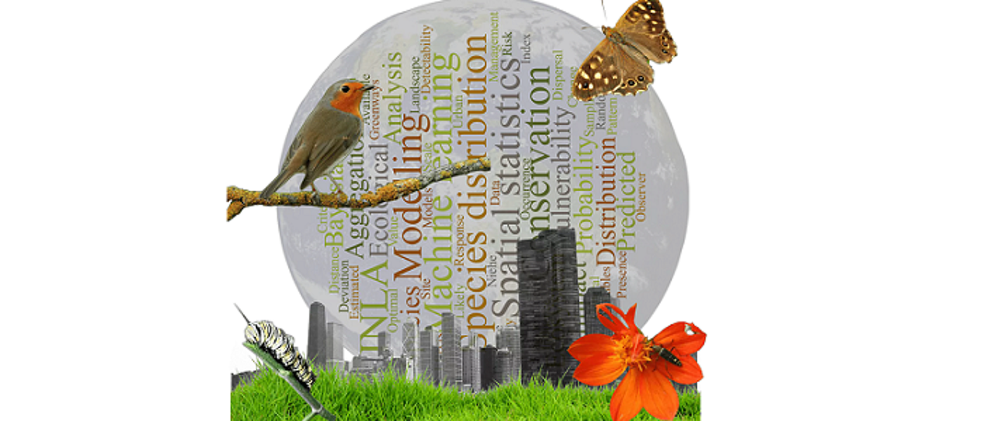 Collage of words, birds, butterfly, city skyline and grass
