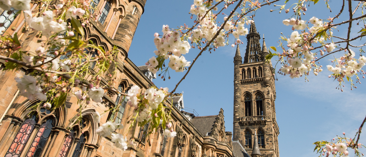 University with blossom