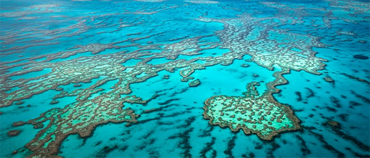 Image of a coral reef taken from the air