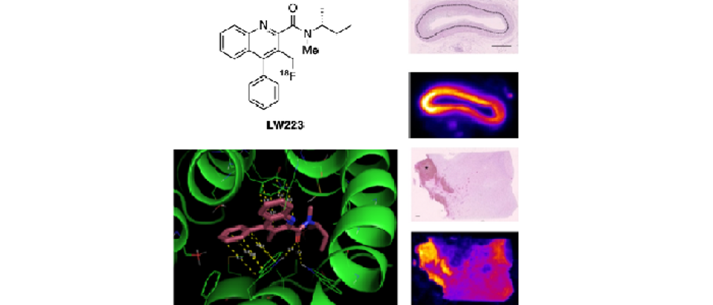 Graphics depicting the PET imaging agents