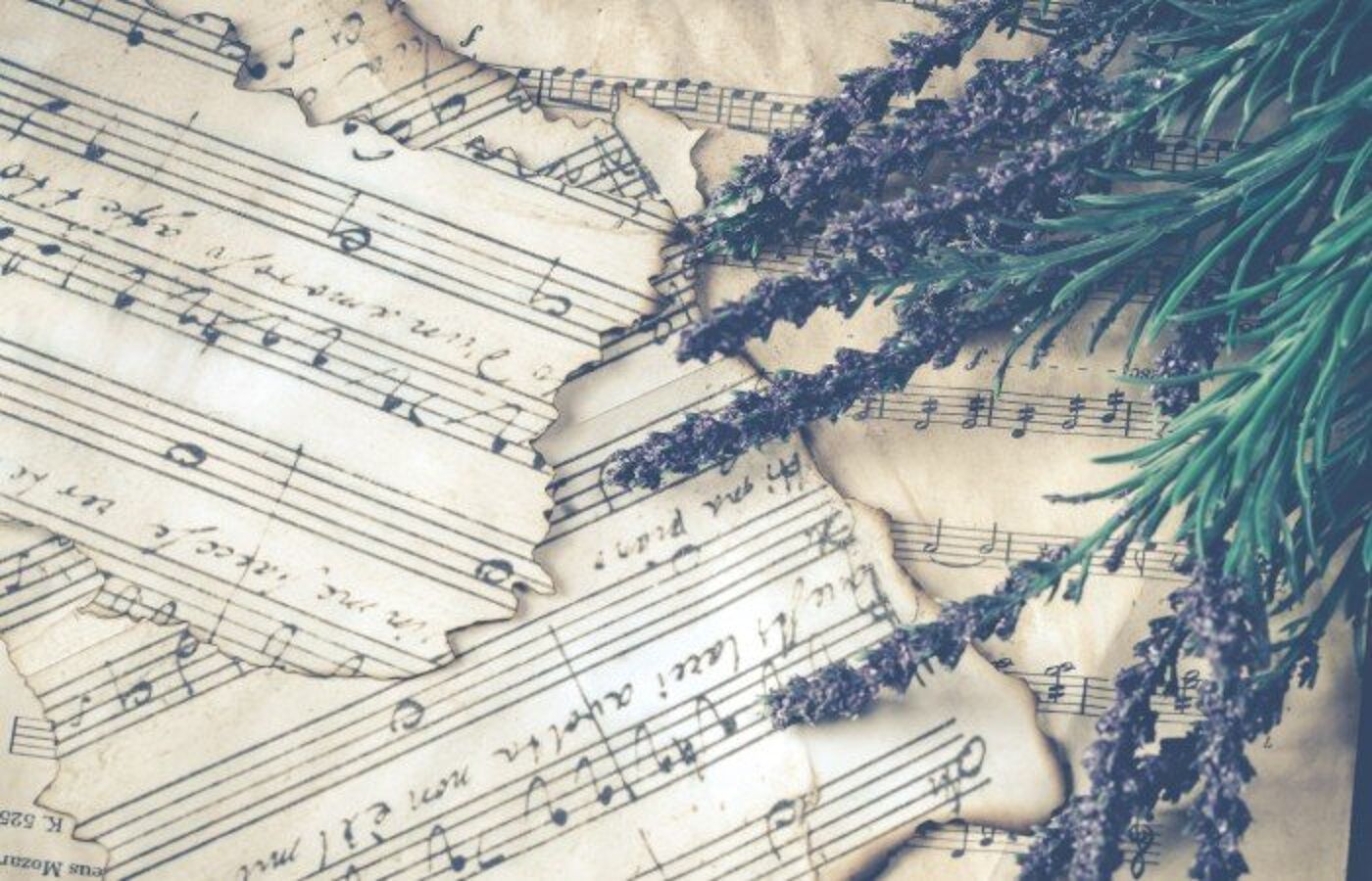 Image shows pieces of sheet music with lavender resting on top