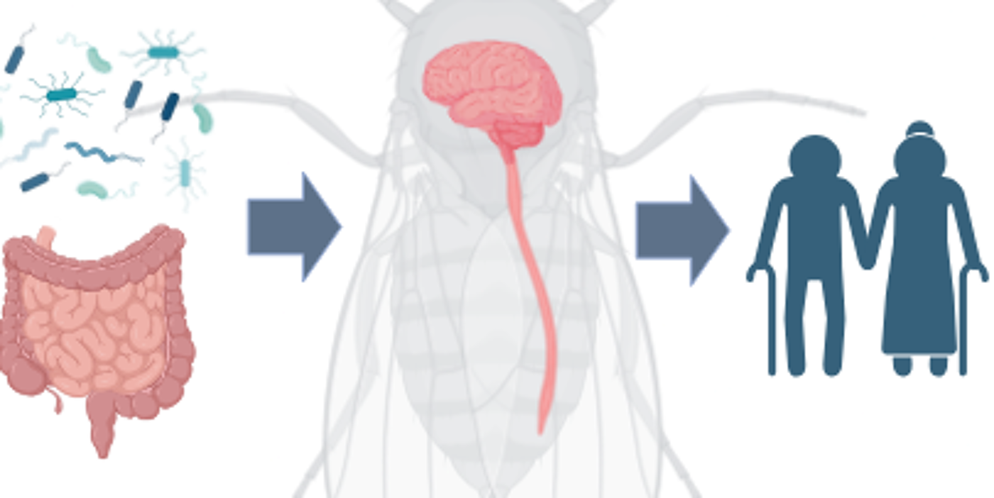 Cropped Adam dobson image