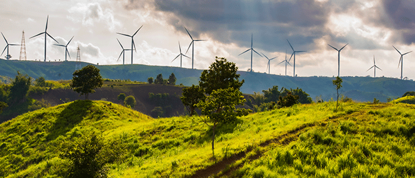 Wind turbines and grass