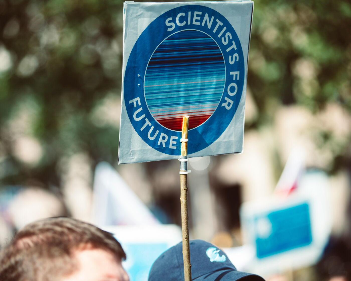 This picture shows the top of a man's head, and a protest sign he is holding that reads 'Scientists for Future'