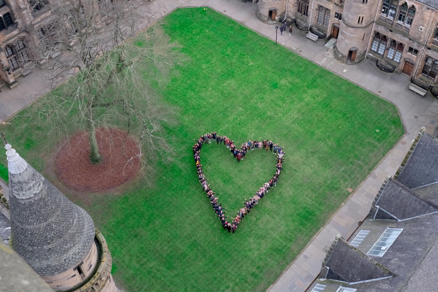 Aerial heart