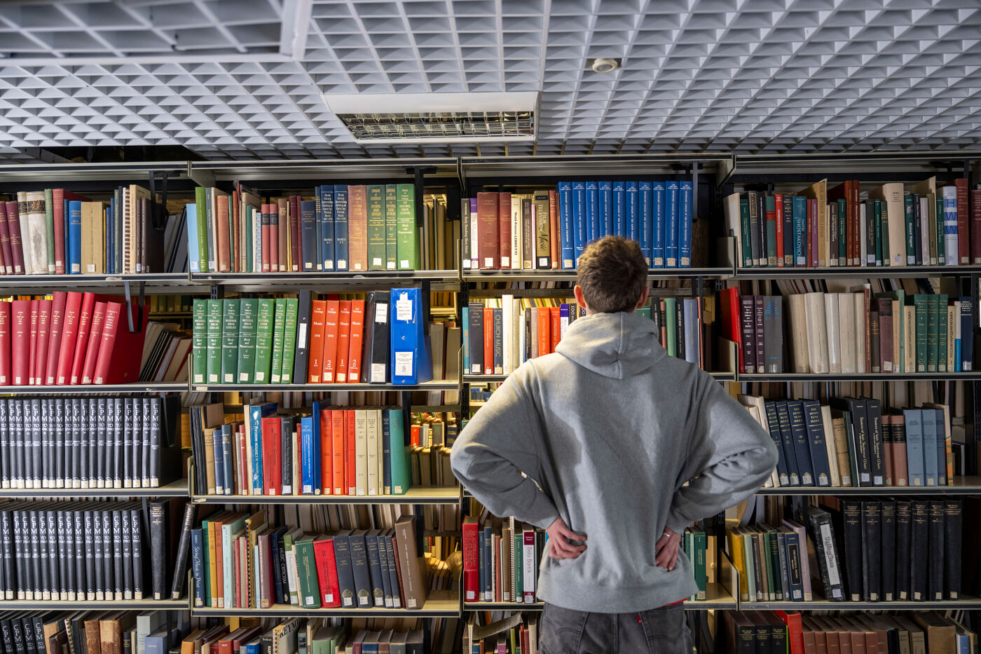 A student consulting the library