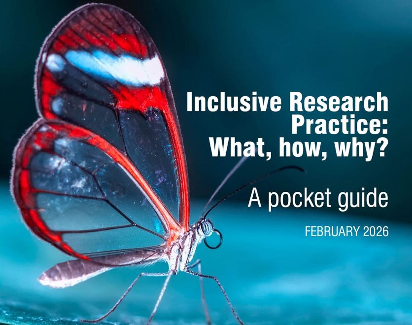 The cover of the IRP Pocket Guide featuring a red and white butterfly on a blue background