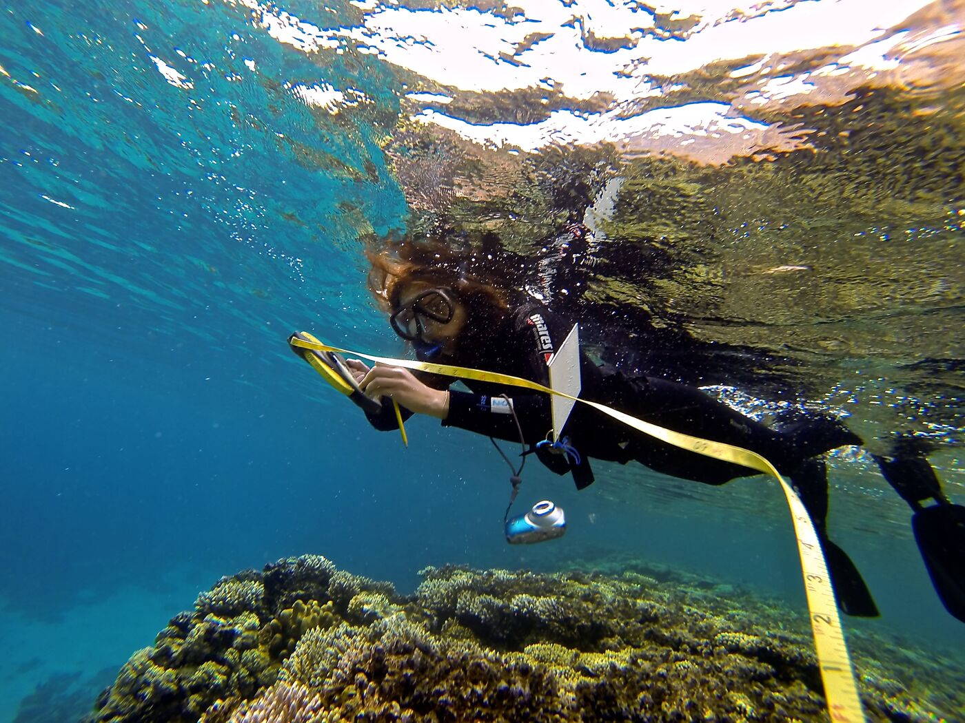 Marine and Freshwater Biology