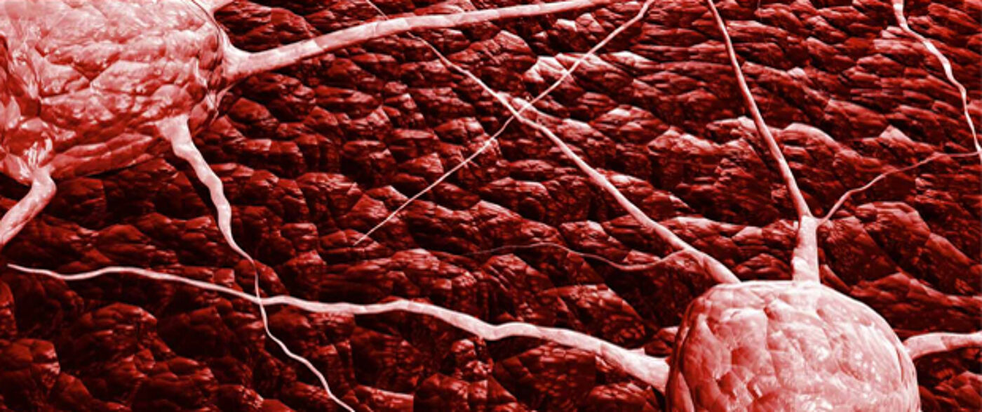 Institute of Cancer Sciences