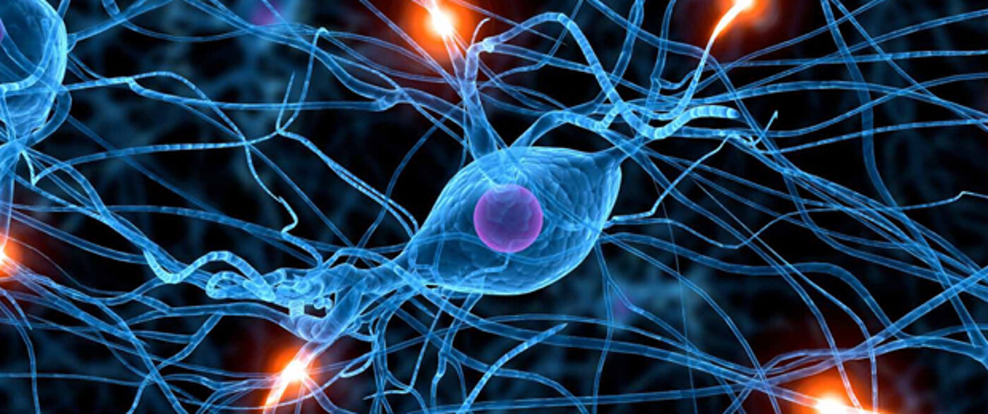 Institute of Neuroscience and Psychology