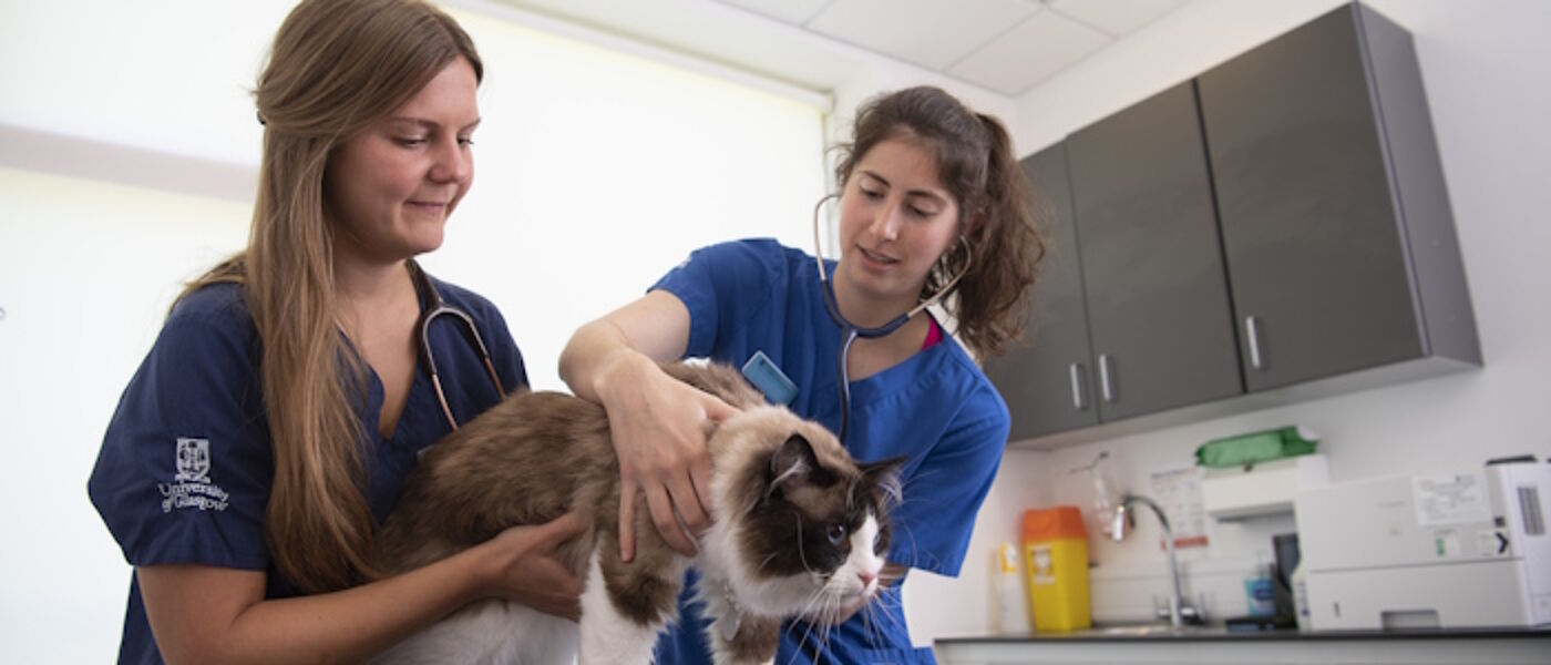 Two Veterinary Medicine students holding a cat