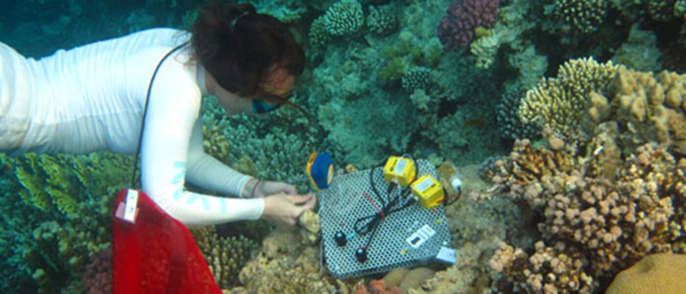 Diving a coral reef