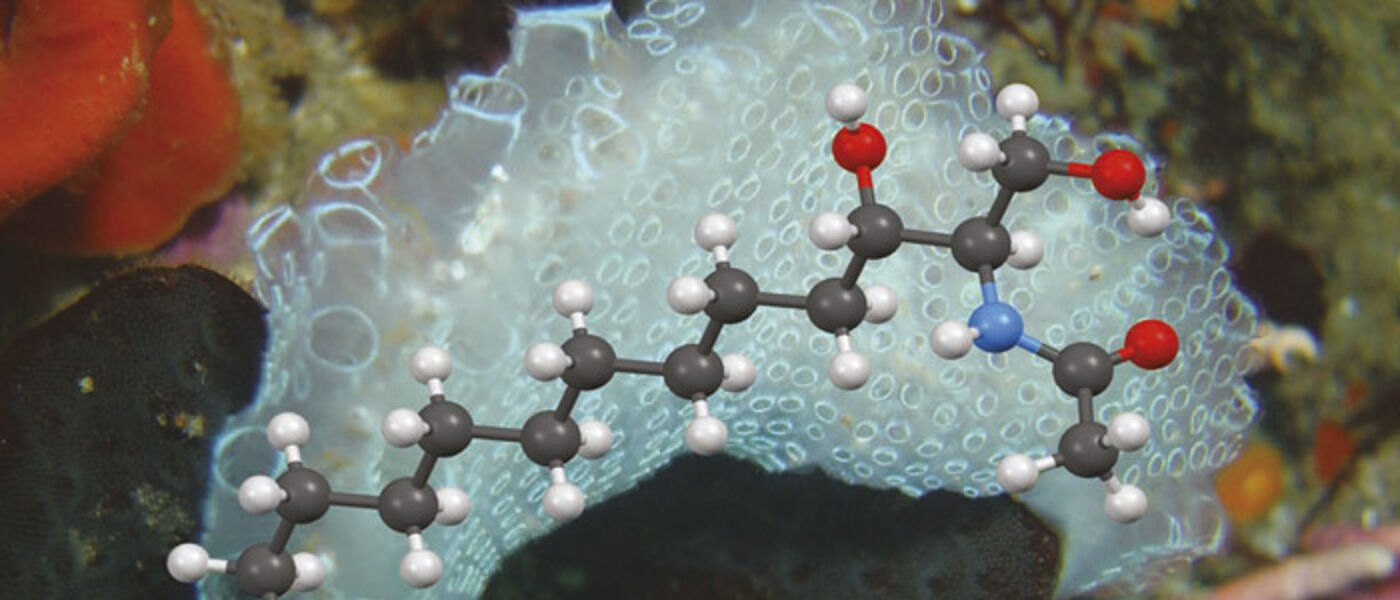 example of biological molecule