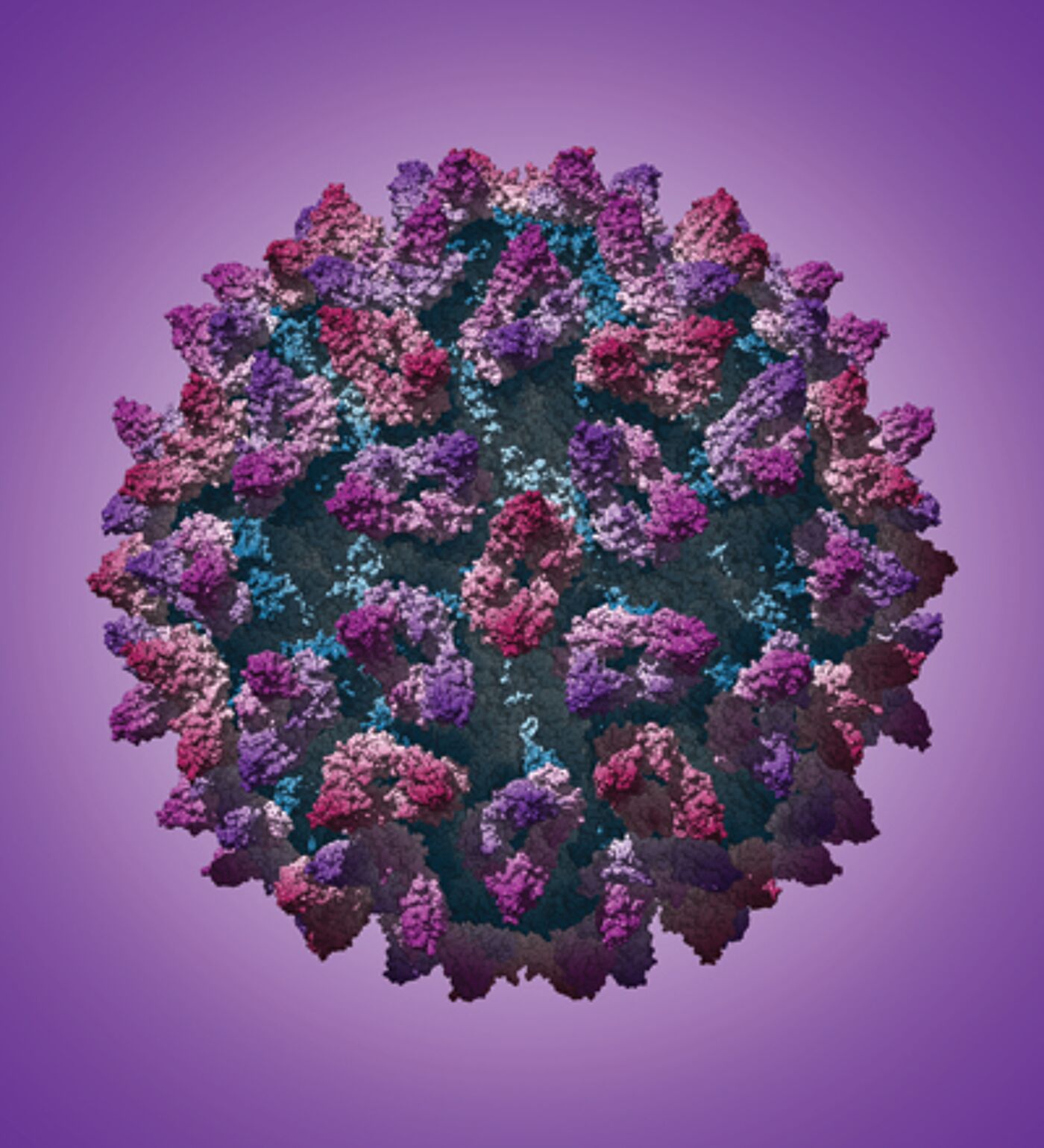 Atomic resolution structure of FCV by David Bhella