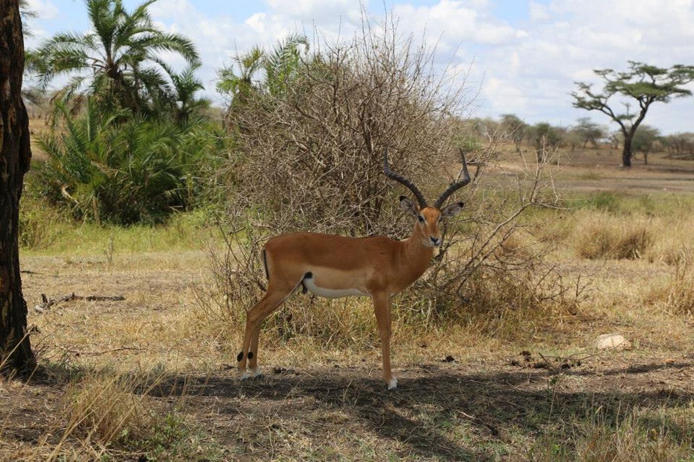 Photo by Mary Ryan. Apr 2015