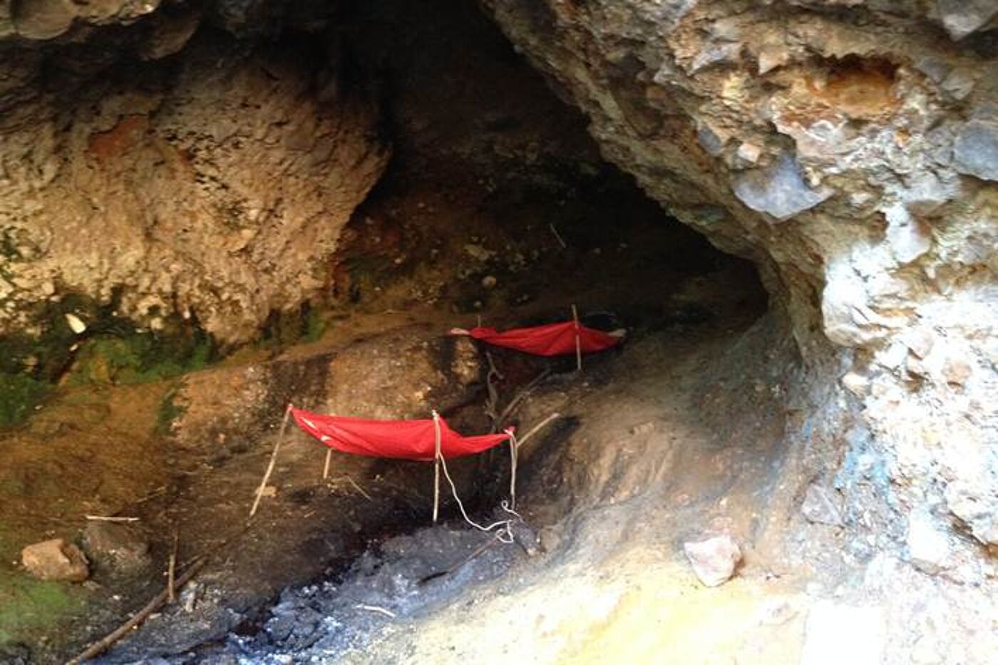 Photo by Daniel Streicker