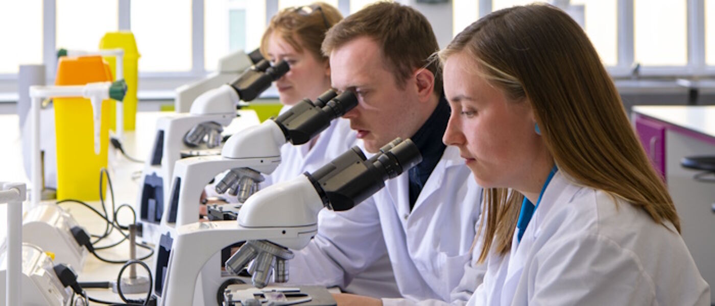3 life sciences researchers looking through microscopes