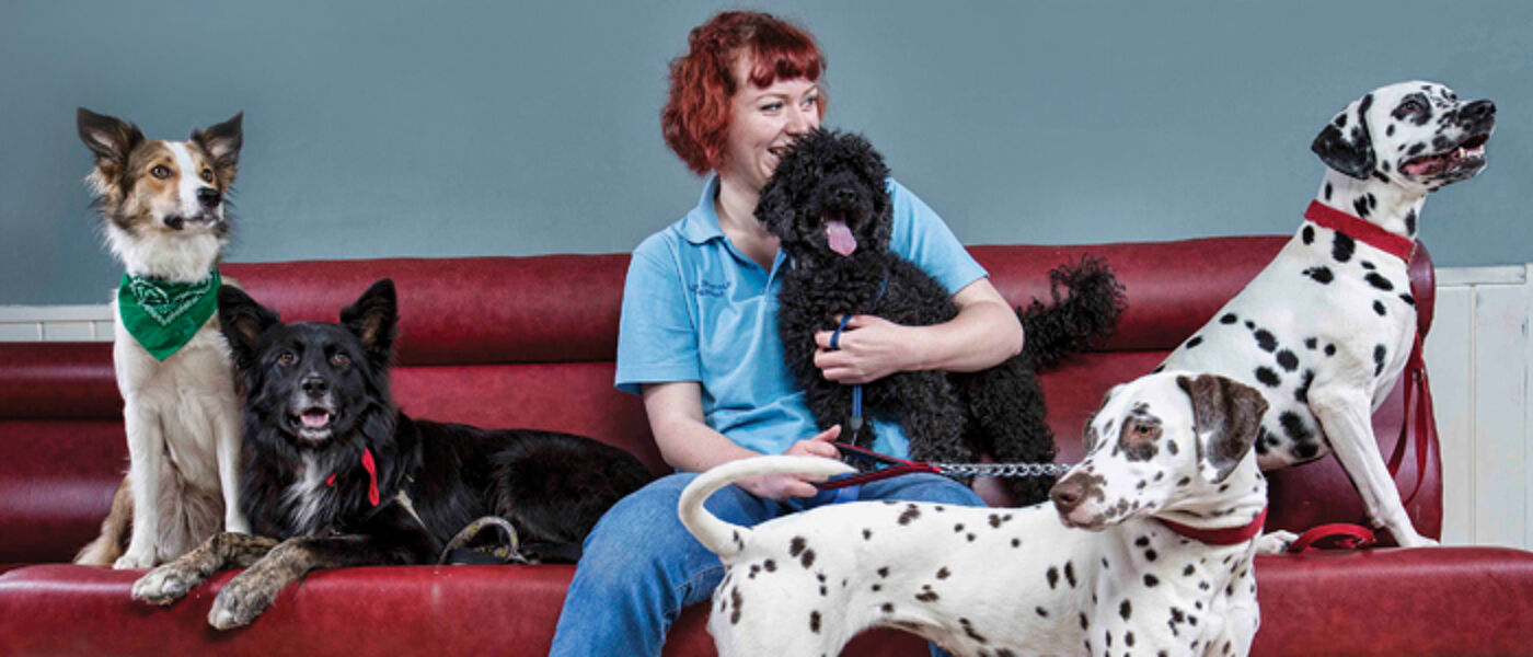 Ruby Shorrock (BVMS 2016) from the Trusty Paws clinic 