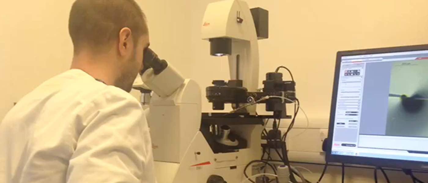 Scientist using microscope