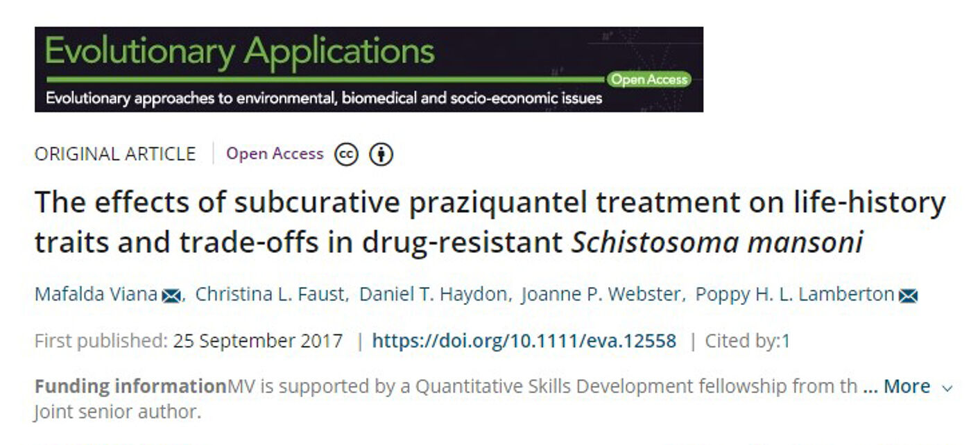 Screenshot of the title page of an academic paper