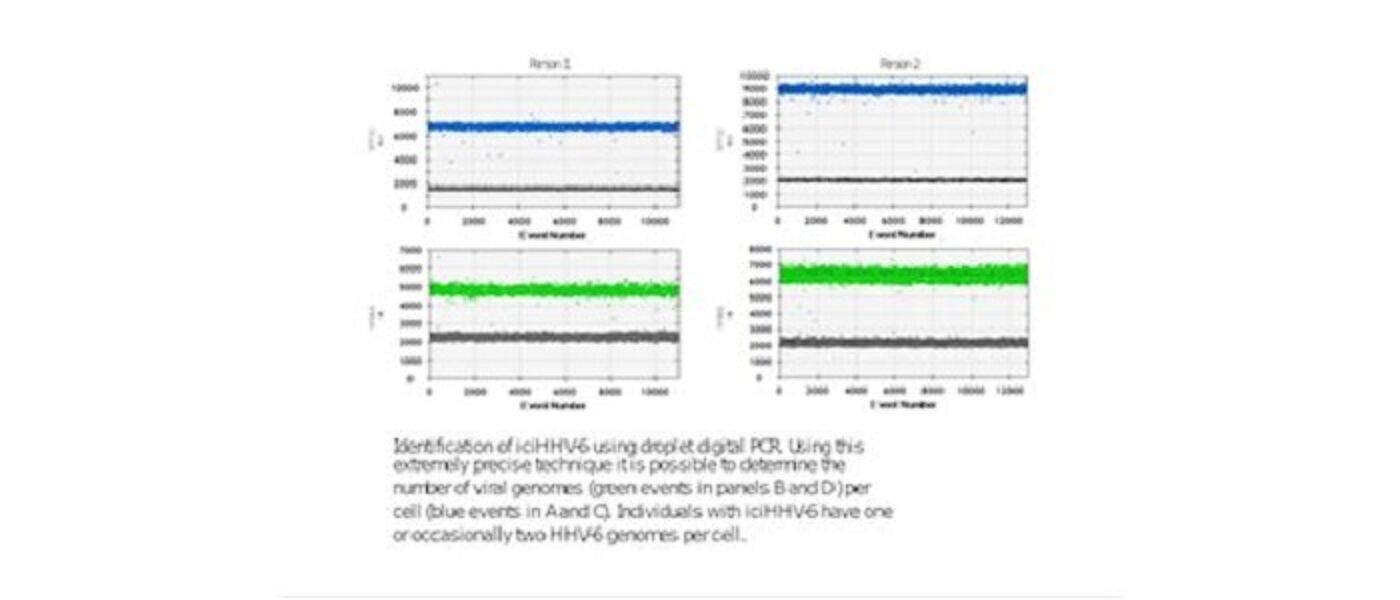 Identification of iciHHV-6 using droplet PCR (human herpes 6A)