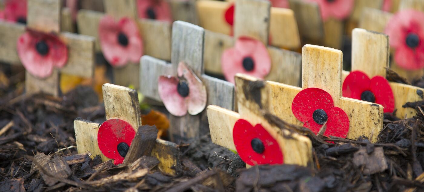 Poppy memorials and crosses