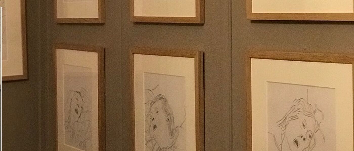 Pictures hanging up in The Yellow Door Gallery, Dumfries