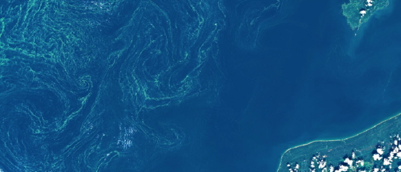 A bird eye's view of a lake take by a satellite