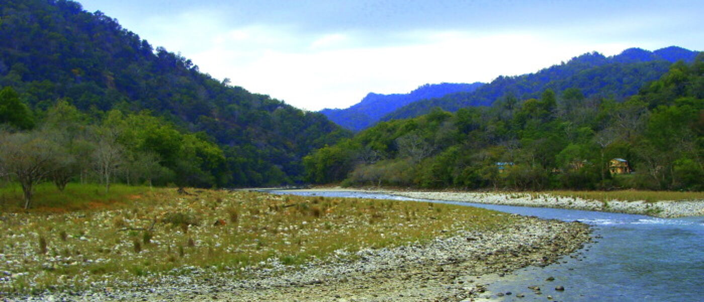 The banks of the Ramganga Sub Basin