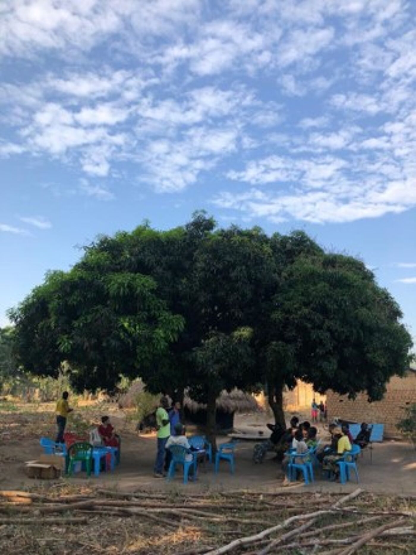 AVI study - enrollment of community members