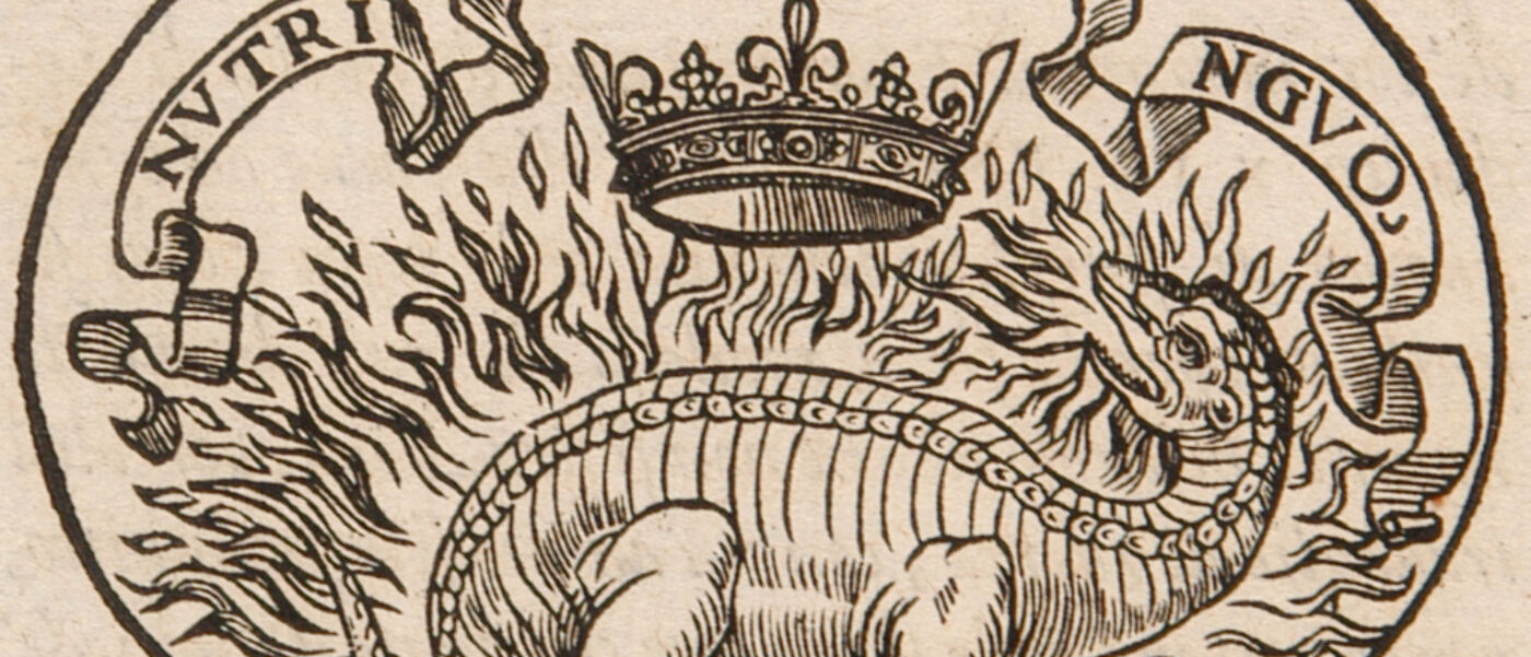 Italian Project SMC 300x700 tile (narrow)