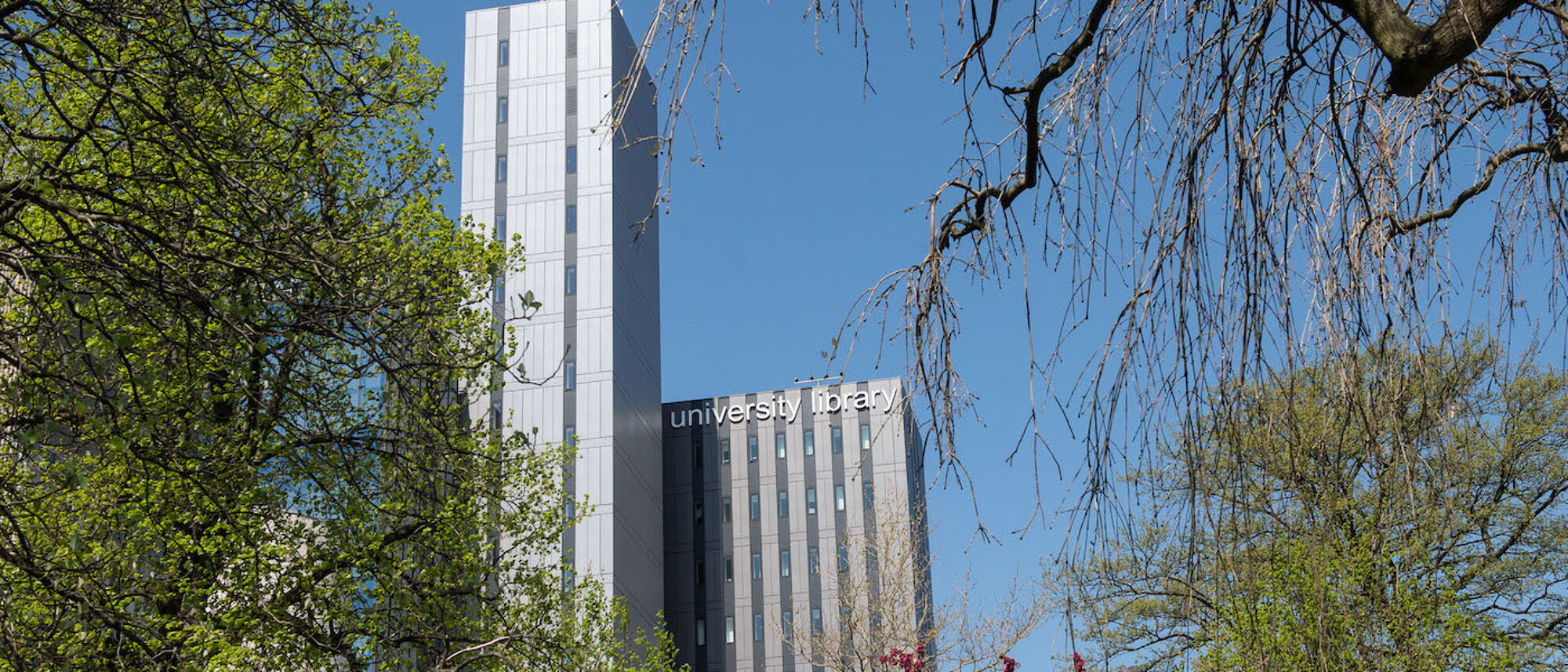 Library in spring with trees.