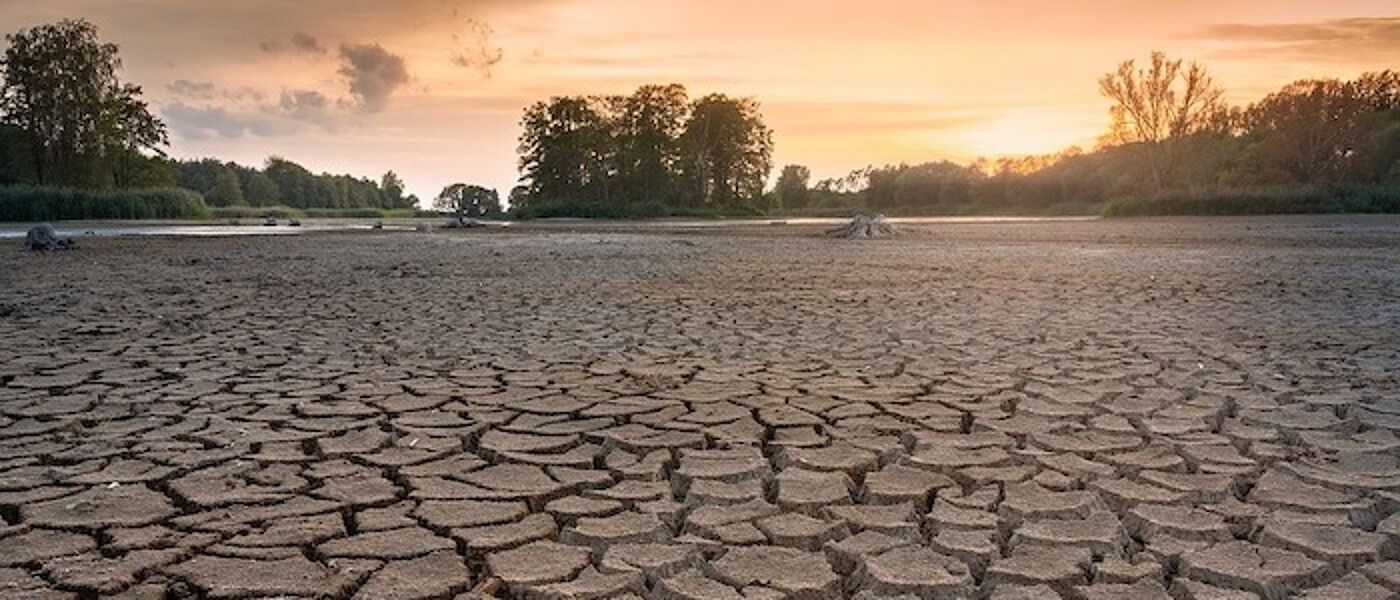Drought afflicted landscape