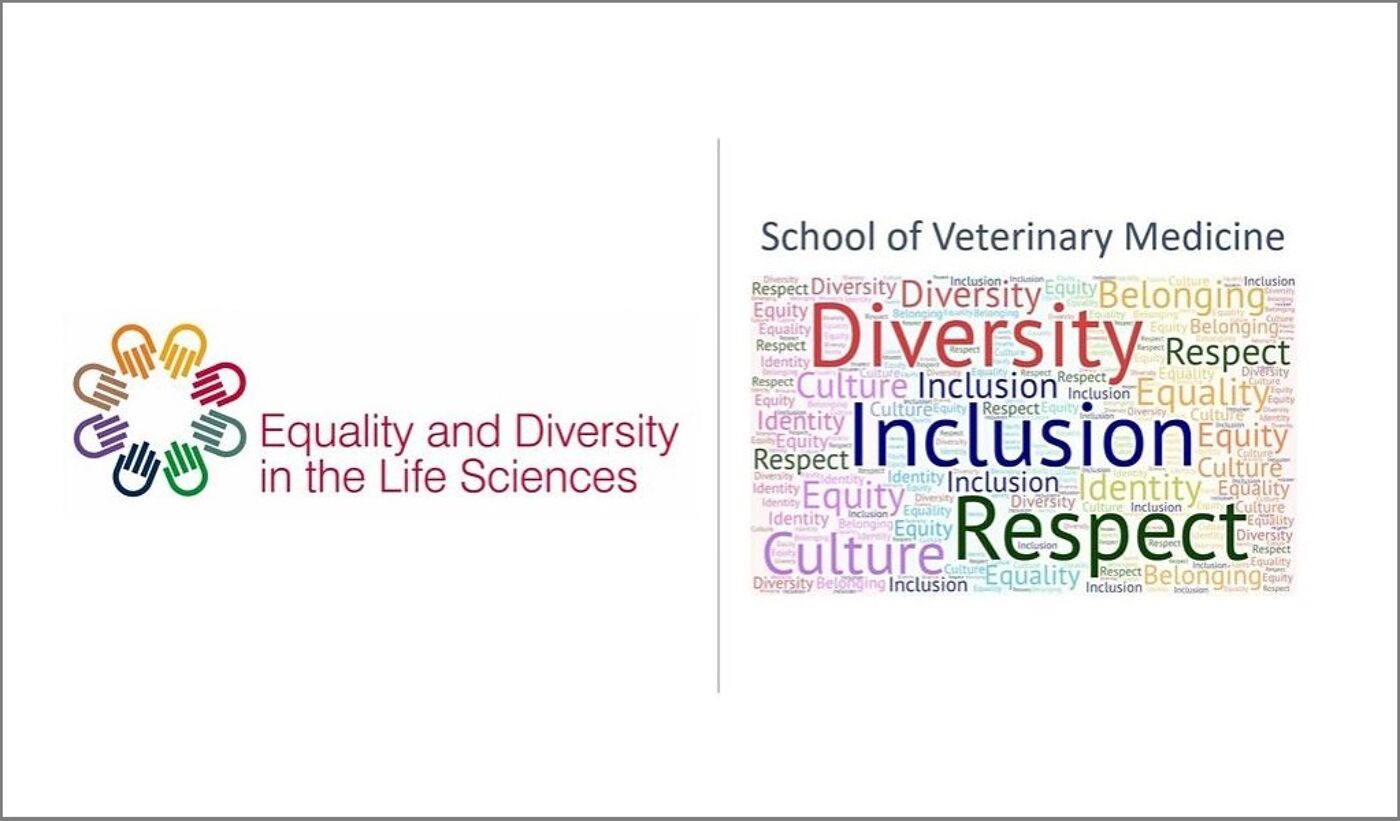 Prof Lubna Nasir live event