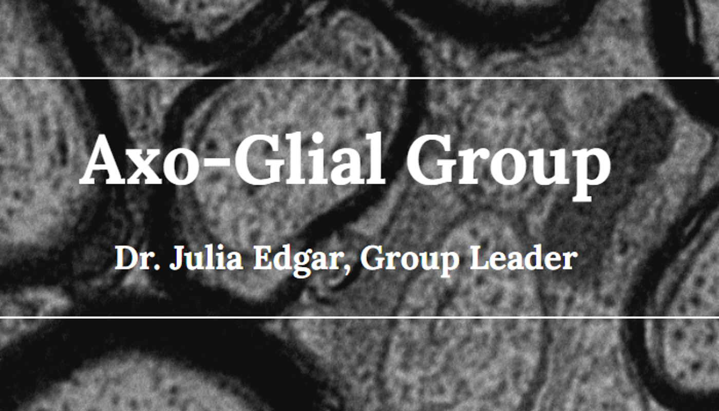 Homepage image from the Axo-Glial Research Group website
