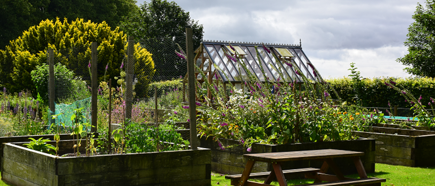 Teaching Garden - 700x300